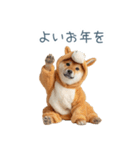 2026正月馬しば犬【元旦・かわいい】（個別スタンプ：3）