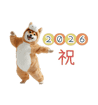 2026正月馬しば犬【元旦・かわいい】（個別スタンプ：4）