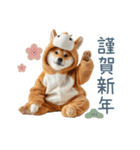 2026正月馬しば犬【元旦・かわいい】（個別スタンプ：5）