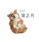 2026正月馬しば犬【元旦・かわいい】（個別スタンプ：7）