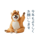 2026正月馬しば犬【元旦・かわいい】（個別スタンプ：8）