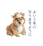2026正月馬しば犬【元旦・かわいい】（個別スタンプ：9）