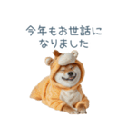 2026正月馬しば犬【元旦・かわいい】（個別スタンプ：10）