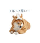 2026正月馬しば犬【元旦・かわいい】（個別スタンプ：15）
