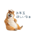 2026正月馬しば犬【元旦・かわいい】（個別スタンプ：17）