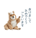 2026正月馬しば犬【元旦・かわいい】（個別スタンプ：19）