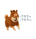 2026正月馬しば犬【元旦・かわいい】（個別スタンプ：21）