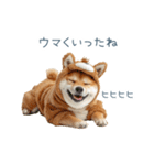 2026正月馬しば犬【元旦・かわいい】（個別スタンプ：23）