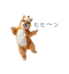 2026正月馬しば犬【元旦・かわいい】（個別スタンプ：26）