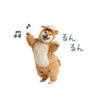 2026正月馬しば犬【元旦・かわいい】（個別スタンプ：27）