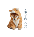 2026正月馬しば犬【元旦・かわいい】（個別スタンプ：28）