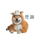 2026正月馬しば犬【元旦・かわいい】（個別スタンプ：30）