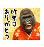 あけおめゴリラ 年末年始（個別スタンプ：4）