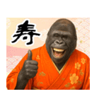 あけおめゴリラ 年末年始（個別スタンプ：6）