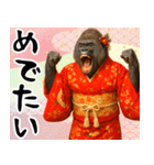 あけおめゴリラ 年末年始（個別スタンプ：9）
