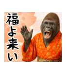 あけおめゴリラ 年末年始（個別スタンプ：10）