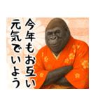 あけおめゴリラ 年末年始（個別スタンプ：18）