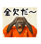 あけおめゴリラ 年末年始（個別スタンプ：20）
