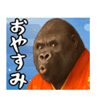 あけおめゴリラ 年末年始（個別スタンプ：24）
