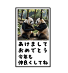 パンダのBIG年賀状（個別スタンプ：13）