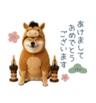 2026正月を祝う柴犬【元旦・かわいい】（個別スタンプ：1）
