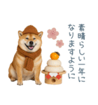 2026正月を祝う柴犬【元旦・かわいい】（個別スタンプ：4）