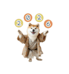 2026正月を祝う柴犬【元旦・かわいい】（個別スタンプ：9）