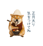 2026正月を祝う柴犬【元旦・かわいい】（個別スタンプ：10）