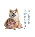2026正月を祝う柴犬【元旦・かわいい】（個別スタンプ：11）