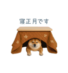 2026正月を祝う柴犬【元旦・かわいい】（個別スタンプ：13）