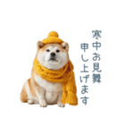 2026正月を祝う柴犬【元旦・かわいい】（個別スタンプ：15）