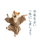 2026正月を祝う柴犬【元旦・かわいい】（個別スタンプ：18）