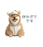 2026正月を祝う柴犬【元旦・かわいい】（個別スタンプ：20）