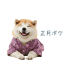 2026正月を祝う柴犬【元旦・かわいい】（個別スタンプ：23）