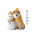 2026正月を祝う柴犬【元旦・かわいい】（個別スタンプ：28）