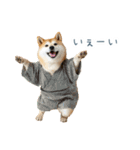 2026正月を祝う柴犬【元旦・かわいい】（個別スタンプ：32）