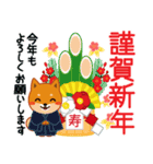 柴犬「ムサシ」64 年末年始（個別スタンプ：1）