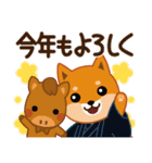 柴犬「ムサシ」64 年末年始（個別スタンプ：5）