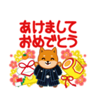 柴犬「ムサシ」64 年末年始（個別スタンプ：6）