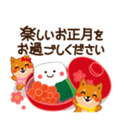 柴犬「ムサシ」64 年末年始（個別スタンプ：13）