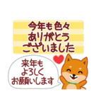 柴犬「ムサシ」64 年末年始（個別スタンプ：25）