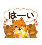 柴犬「ムサシ」64 年末年始（個別スタンプ：32）