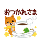 柴犬「ムサシ」64 年末年始（個別スタンプ：34）