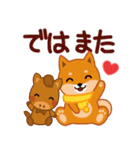 柴犬「ムサシ」64 年末年始（個別スタンプ：37）