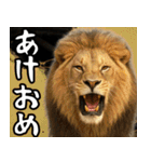 動物園のあけおめスタンプ（個別スタンプ：1）