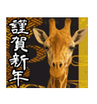 動物園のあけおめスタンプ（個別スタンプ：2）