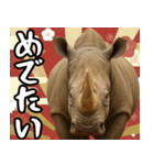 動物園のあけおめスタンプ（個別スタンプ：5）