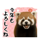 動物園のあけおめスタンプ（個別スタンプ：11）