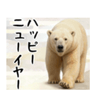 動物園のあけおめスタンプ（個別スタンプ：13）