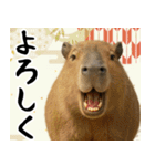 動物園のあけおめスタンプ（個別スタンプ：14）